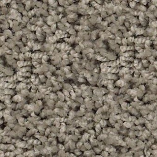 Morro Coast Silhouette Nylon Carpet - Textured