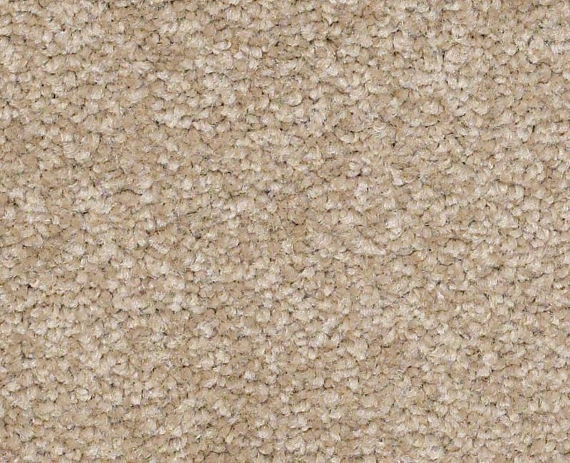 Bright Spirit Ii 12' Sahara Nylon Carpet - Textured
