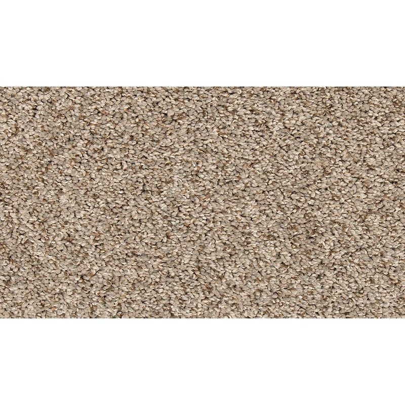 Vitalize II Century Blush Polyester Carpet - Textured