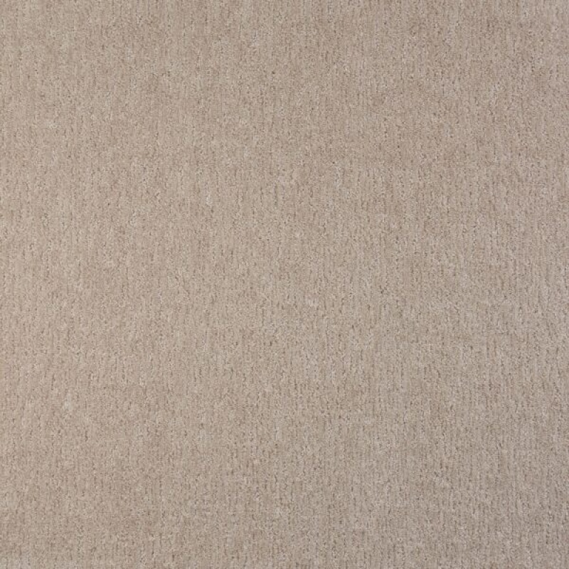 Visionary Lace Polypropylene Carpet - Pattern