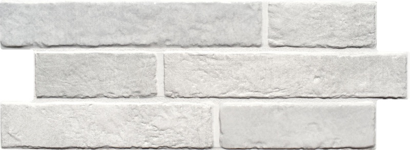 Dany Cocco Porcelain Tile - Matte - 6.25" X 15.25"
