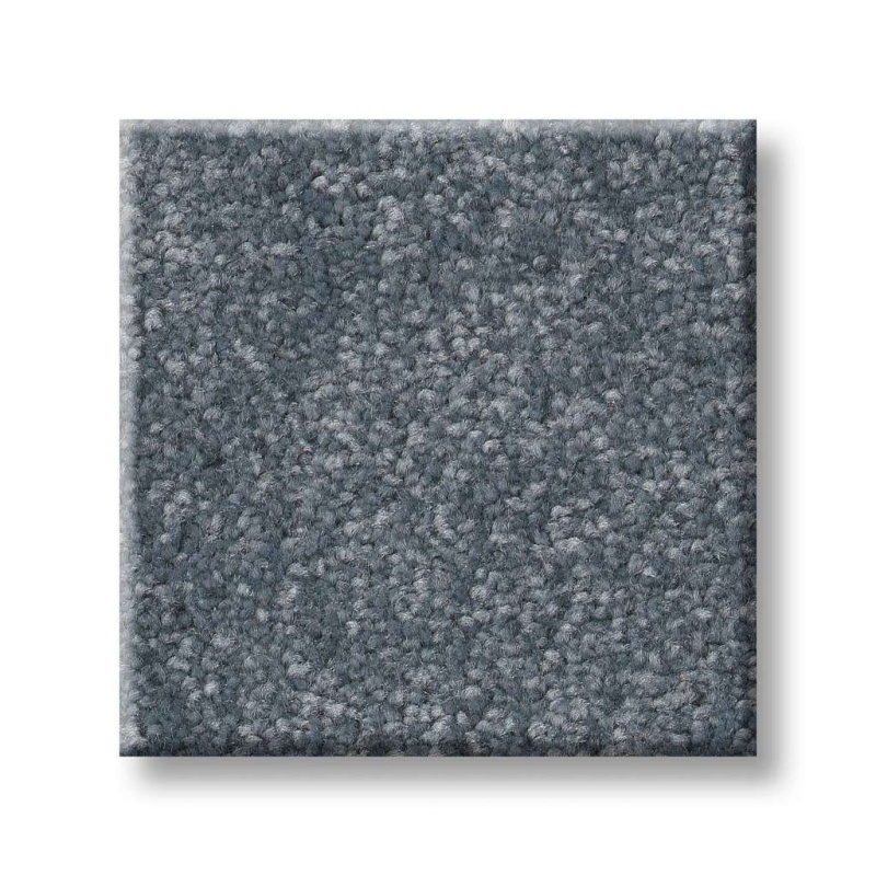 Pet Perfect Hard At Play I 12' Reflection Polyester Carpet