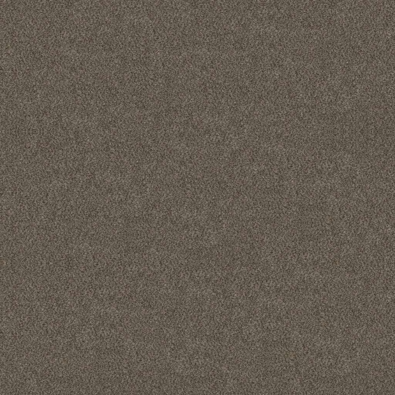 Simply The Best Boundless Ii Woodcraft Polyester Carpet - Textured