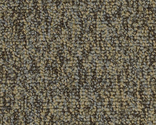 Multiplicity Oodles Nylon Carpet - Loop