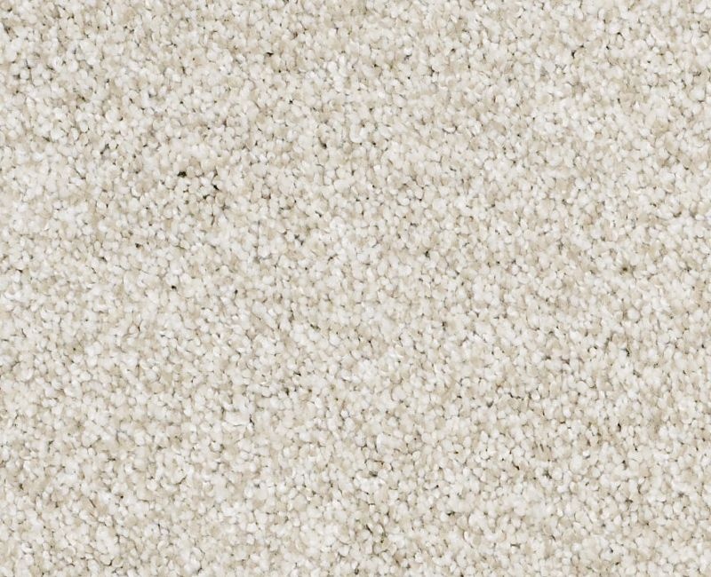 Color Express Tonal I Cashmere Nylon Carpet - Textured