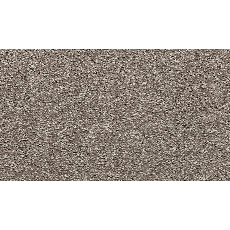 Luxuriant Feel Thin Ice Triexta Carpet - Textured