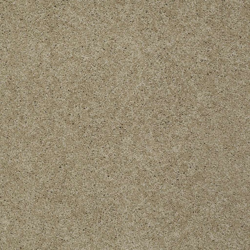 Soft Shades My Choice I Clay Stone Nylon Carpet - Textured