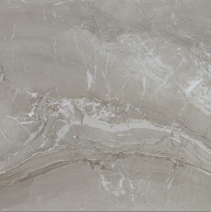 Famed Fortune Porcelain Tile - Matte - 12" X 24"