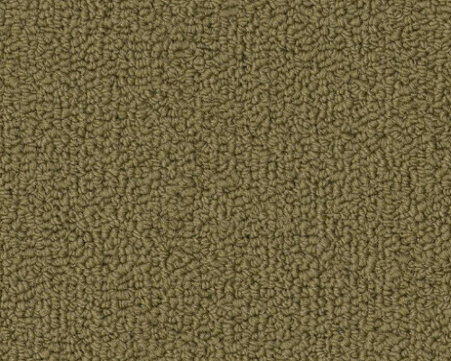 Color Accents BL Aloe Nylon Carpet - Loop