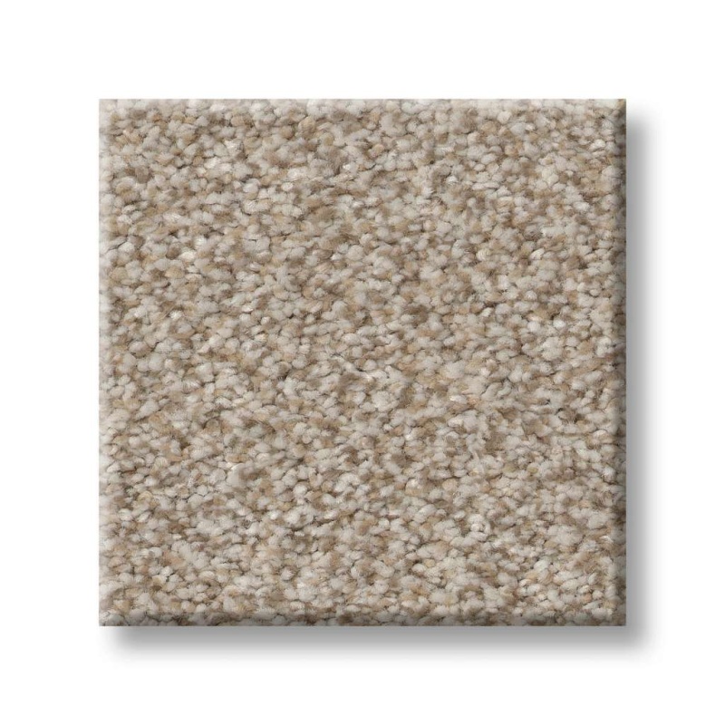 Simply The Best Values Trusplendor Mist Polyester Carpet - Textured