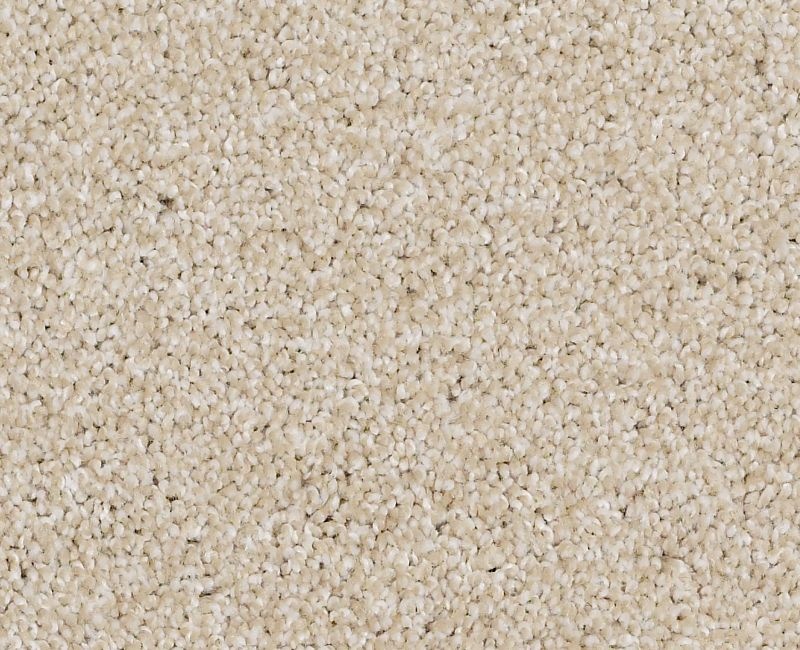 Always On Time Boutique Nylon Carpet - Textured