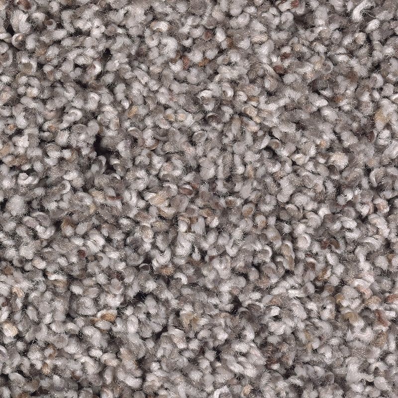 Soft Sensations I Brampton Grey Polyester Carpet - Textured