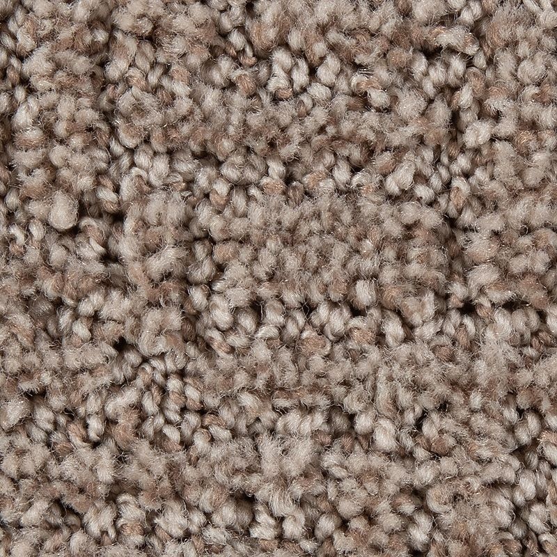 Stylish Edge Desert Accents Polyester Carpet - Pattern