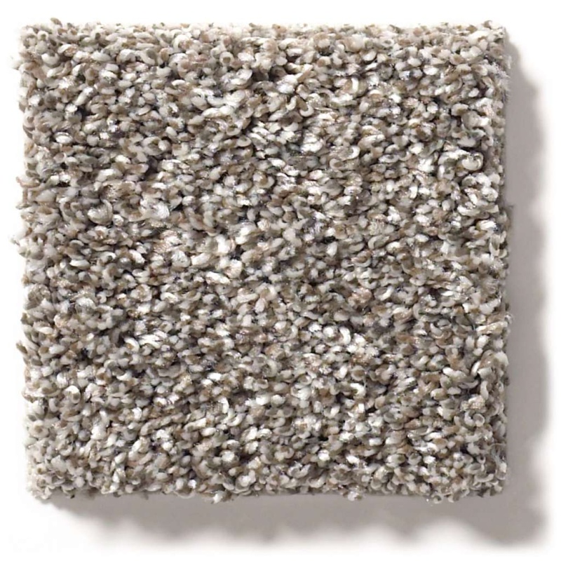 Simply The Best After It I Tree House Polyester Carpet - Textured