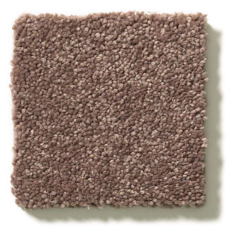 Simply The Best Momentum I Farmhouse Polyester Carpet - Textured