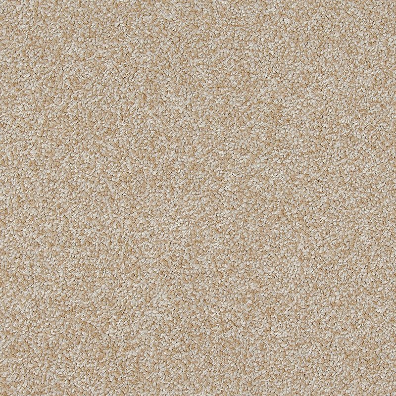 Refreshing Shades Charm Polyester Carpet - Textured