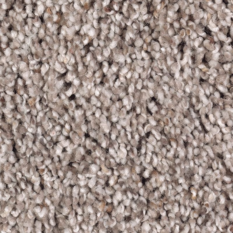 Soft Sensations I Studio Taupe Polyester Carpet - Textured