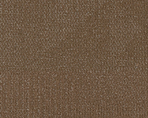 Reshaped Reemerge Evolve Nylon Carpet Tile