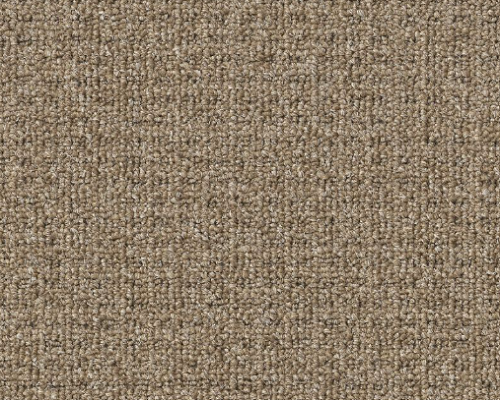 Casual Boucle Weathered Teak Polypropylene Carpet - Textured