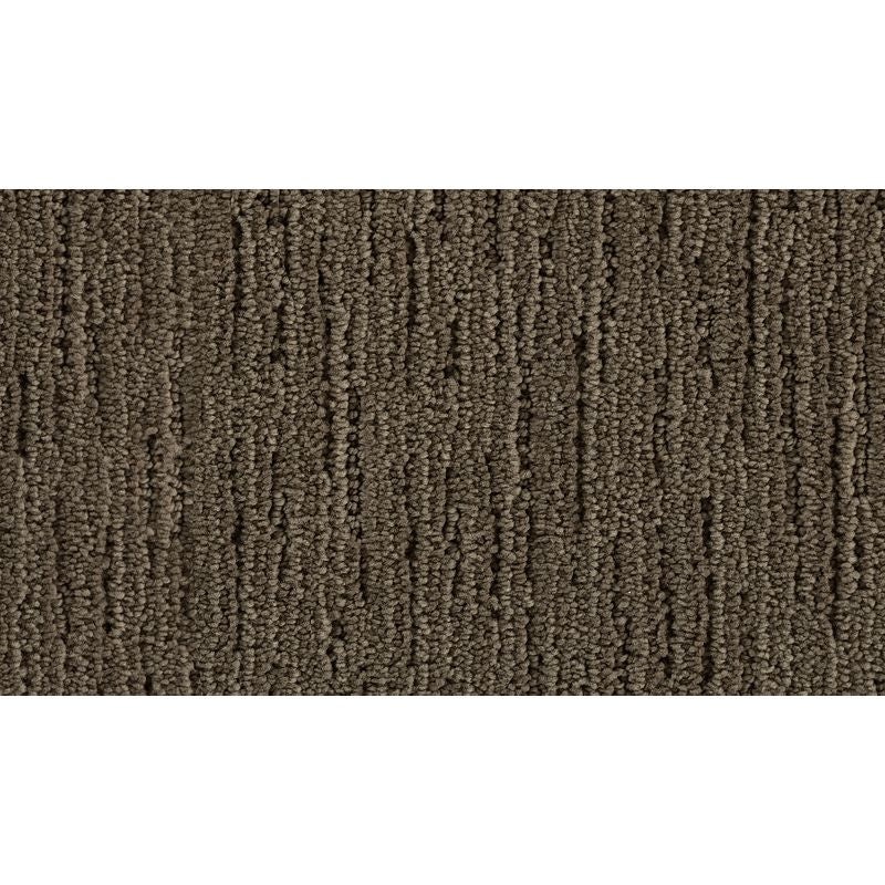 Charming Approach Winter Bird Triexta Carpet