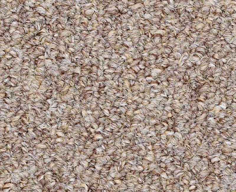 Clearance Sale! Capital III Bl Beige Nylon Carpet - Textured