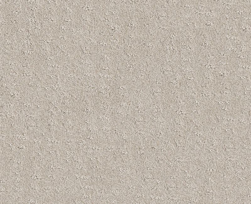 Latest Thing Serene Still Nylon Carpet - Loop