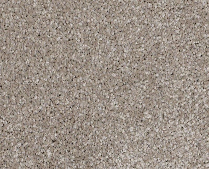 Anso Open Ii (S) Mocha Cream Nylon Carpet - Textured