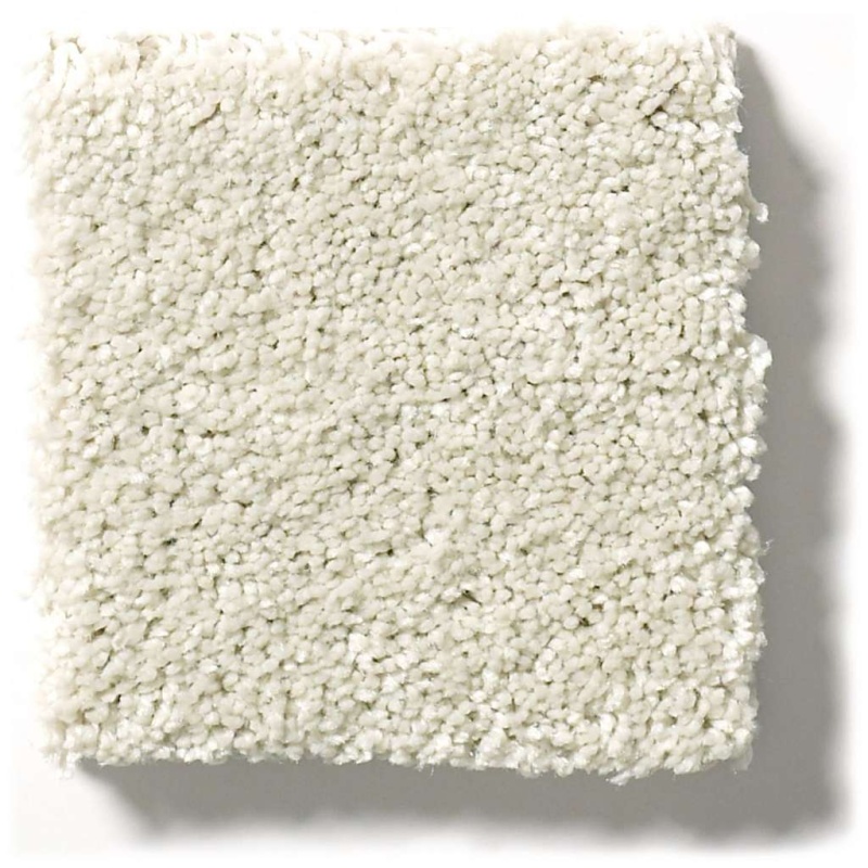 Pet Perfect Plus Basic Rules Creamery Polyester Carpet - Textured