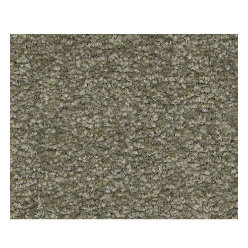 Qs159 12' Alpine Fern Nylon Carpet - Textured