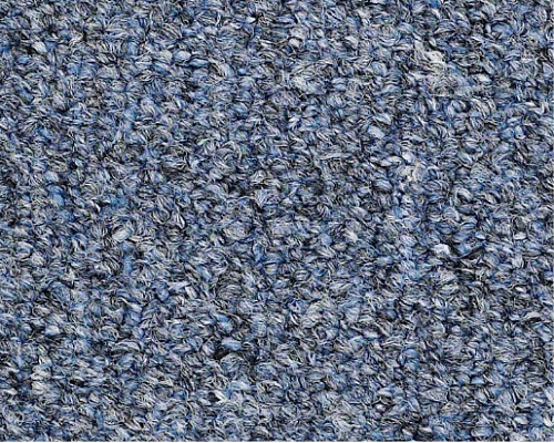 Capital Iii 18 Sc Representative Nylon Carpet - Loop