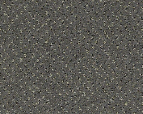 Future Generations Era Nylon Carpet - Textured