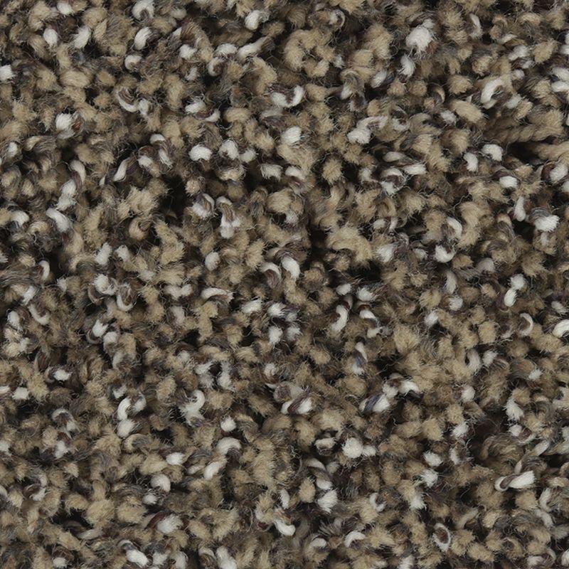 Exquisite Accent Garden Bramble Triexta Carpet - Textured