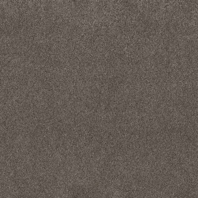 Foundations Live On Comfort Woodcliff Brown Nylon Carpet - Textured