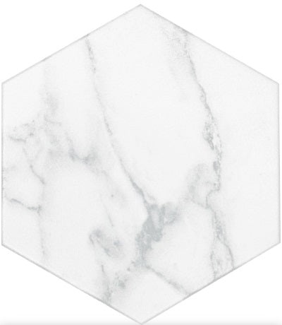 Statuary Porcelain Tile - Unpolished