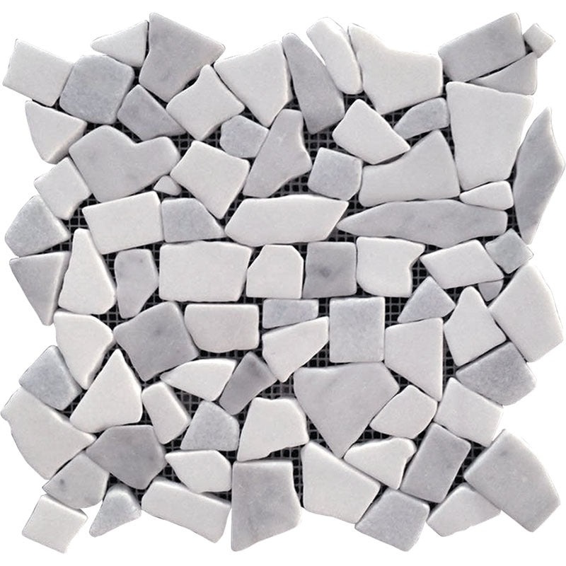Dc Metro Thassos / Bianco Carrara Marble Mosaic - Rock Creek - Polished