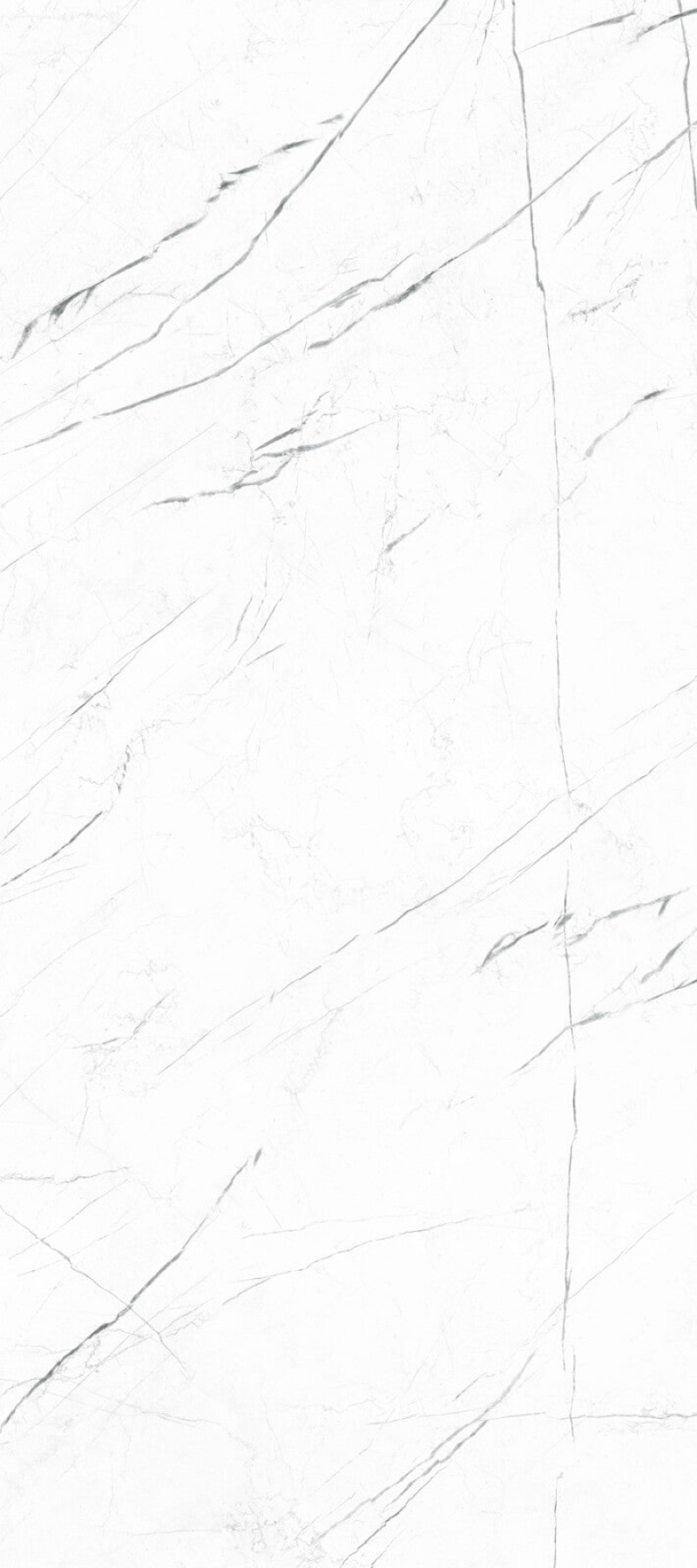 Marquina White Porcelain Tile - Polished - 24" X 48"
