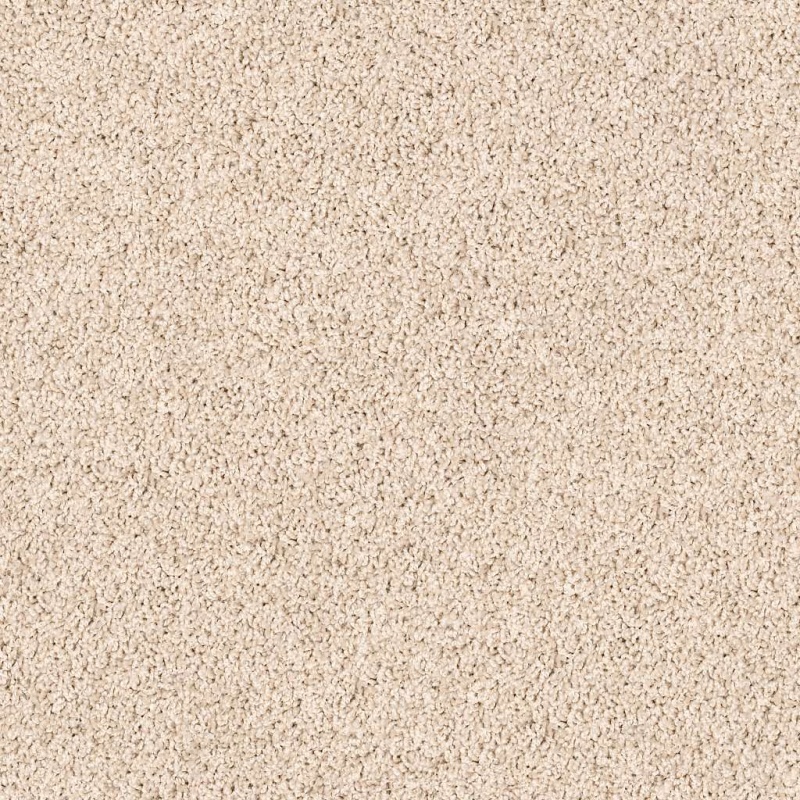 Lonestar Broadstone Nylon Carpet - Textured