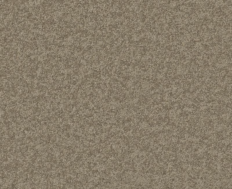 Endura Ii 15' Chinchilla Nylon Carpet - Pattern