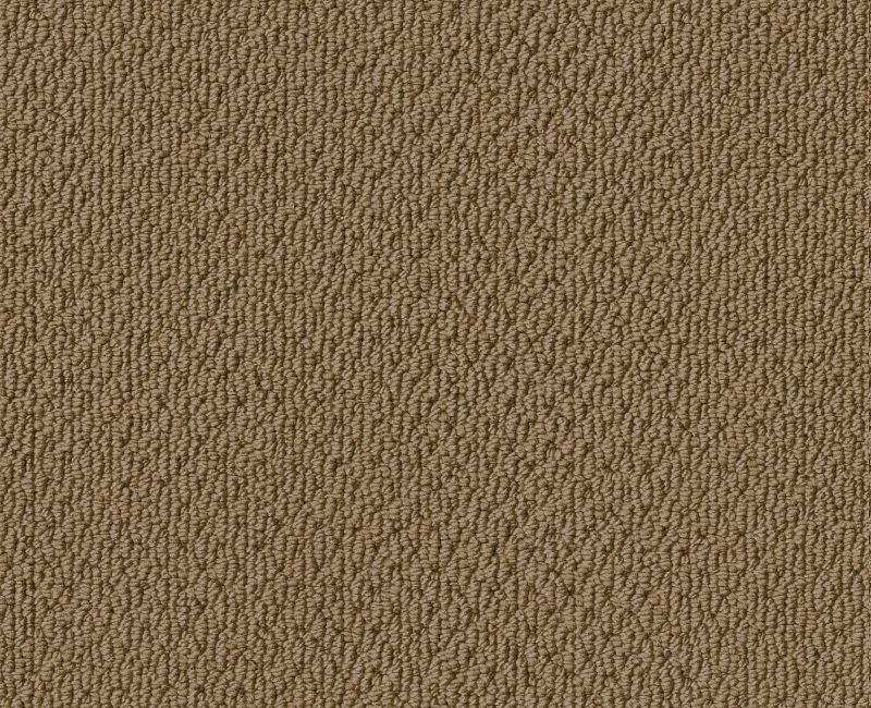 Wishful Thinking Warmth Nylon Carpet - Pattern