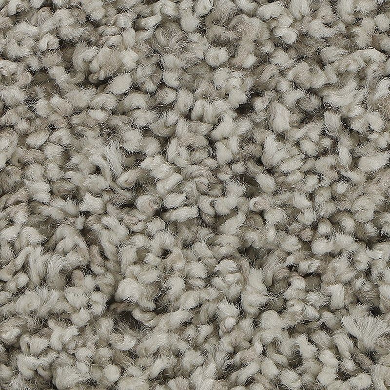 Soft Aspect Classic Silver Polyester Carpet - Textured