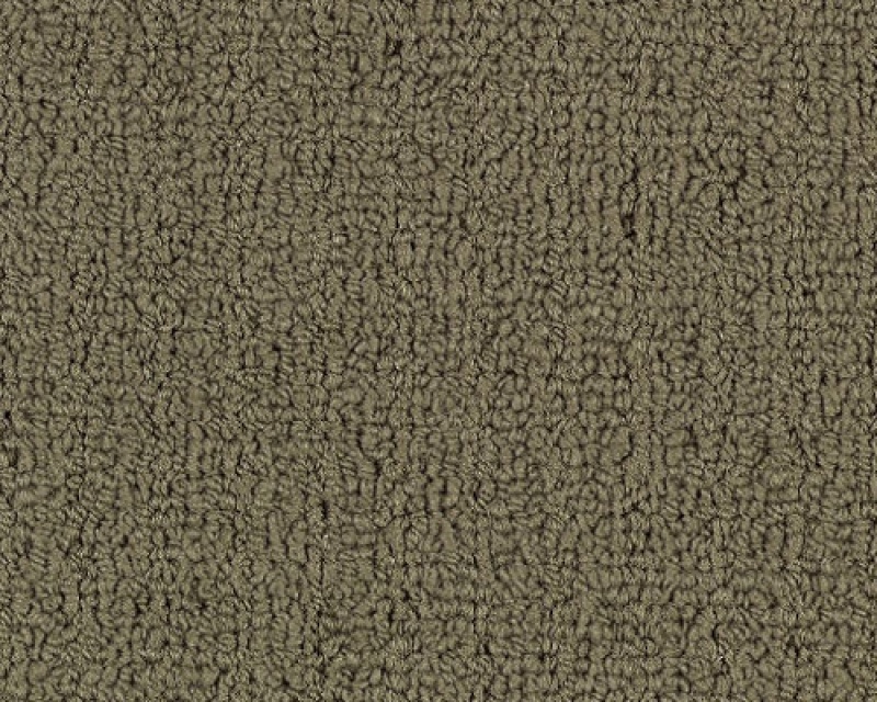 Color Accents Bl Portabella Nylon Carpet - Loop