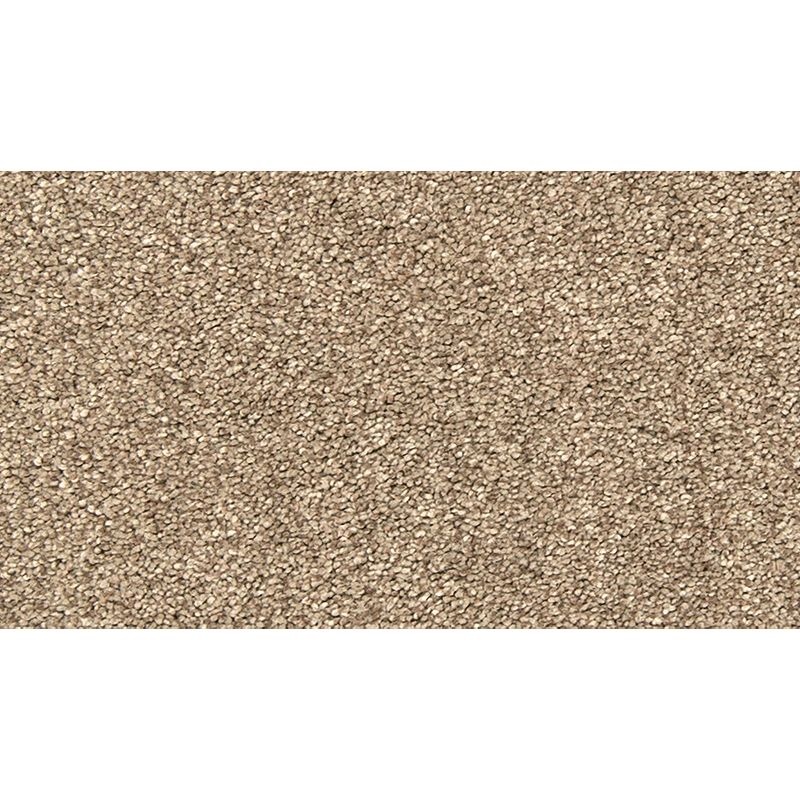 Bold Creation Angora Beige Polyester Carpet - Textured