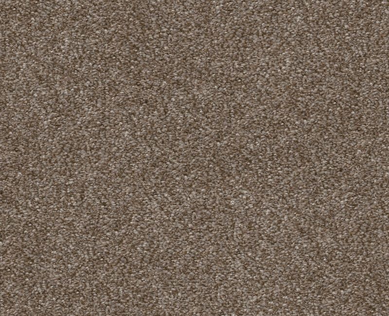 Finders Keepers Fox Hollow Polyester Carpet - Loop