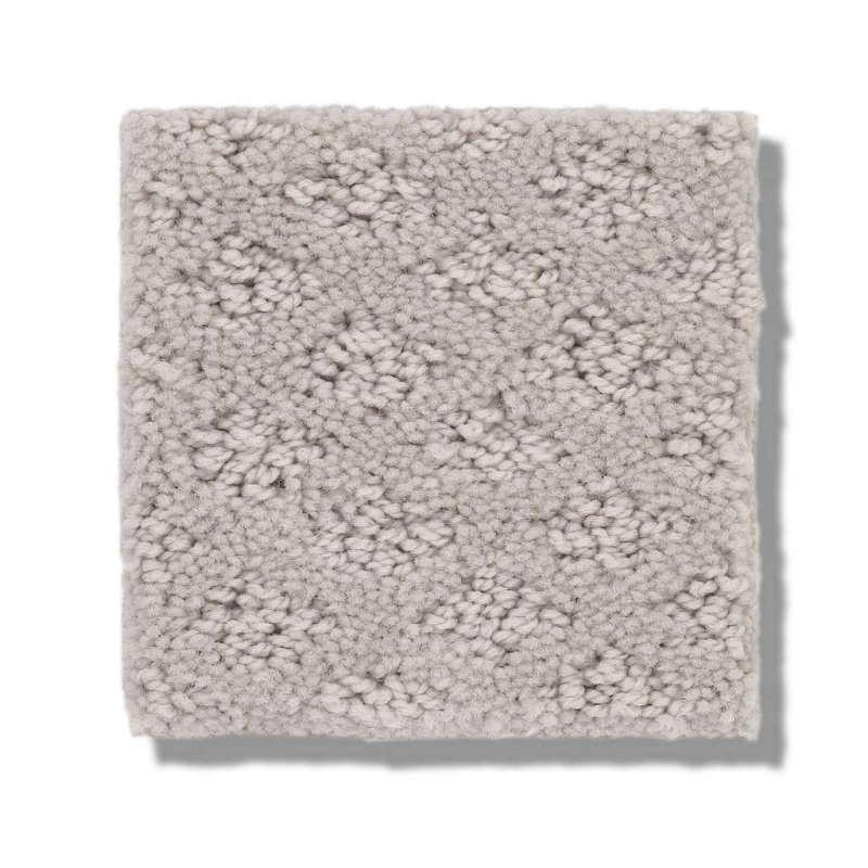 Formalize Split Sediment Nylon Carpet