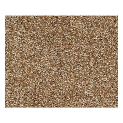 Vacation Day Trail Mix Nylon Carpet - Textured