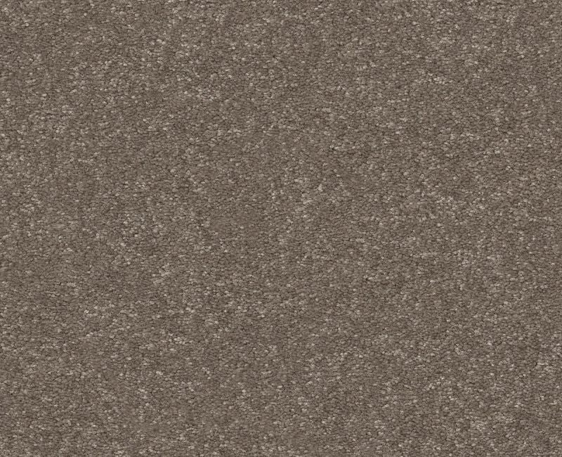 Off The Leash Ii 15 Cobblestone Polyester Carpet - Loop