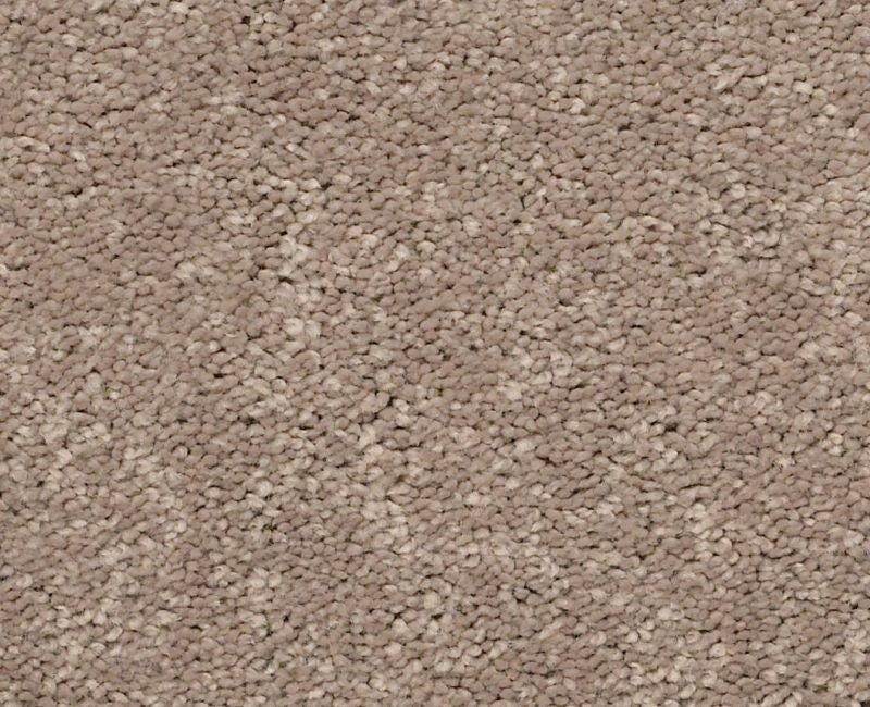 Paradise Point Canyon Buff Polyester Carpet - Textured