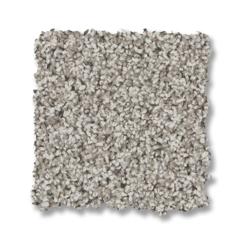 Bella Nova Platinum Nylon Carpet - Textured
