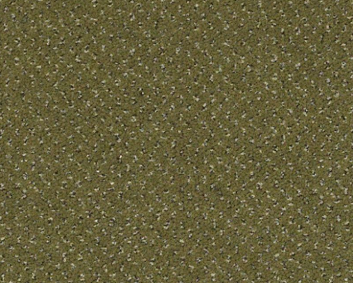 Future Generations Gen Next Nylon Carpet - Textured