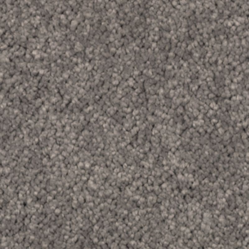 Natural Splendor II Evening Shadow Triexta Carpet - Textured